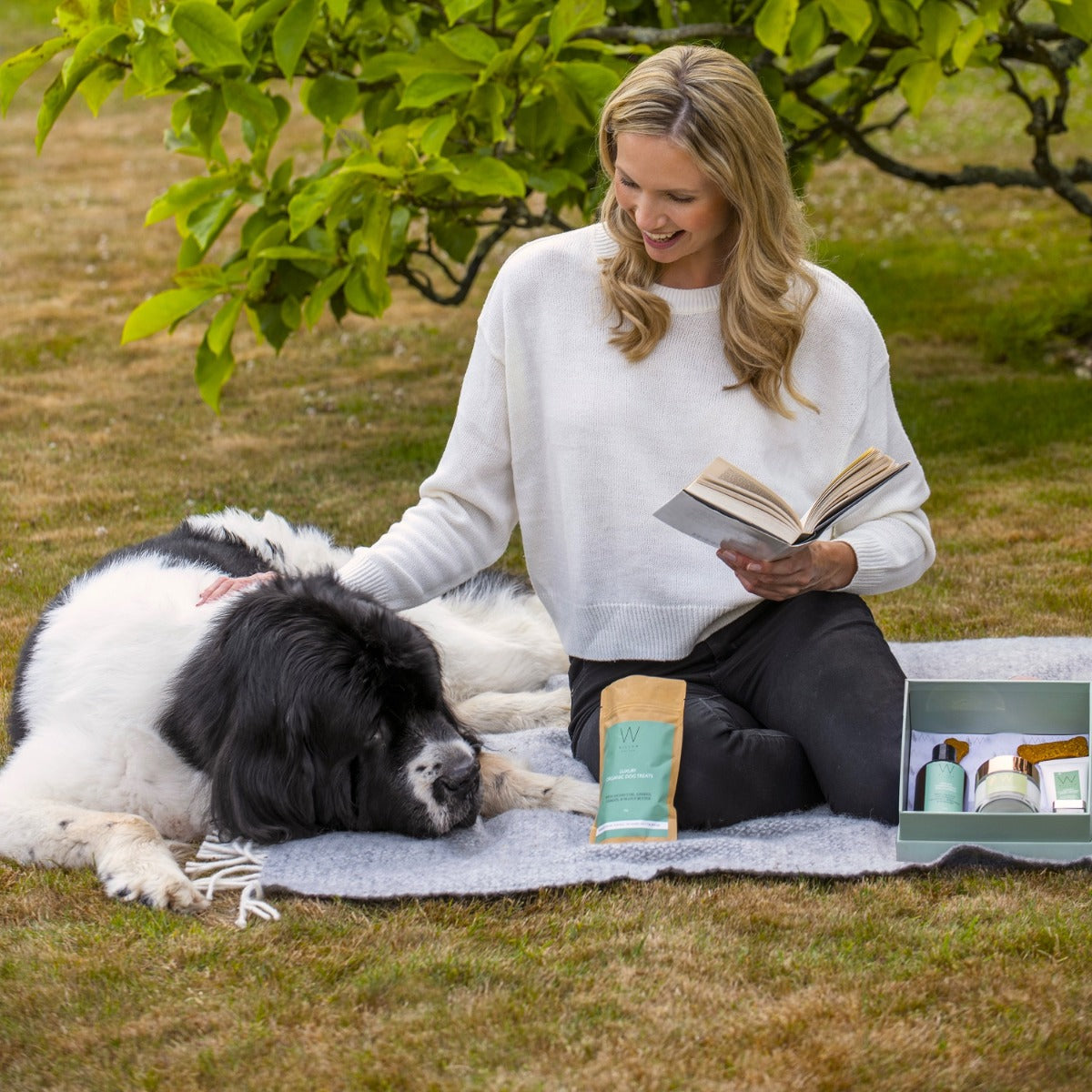 Ultimate Dog Walker's Box