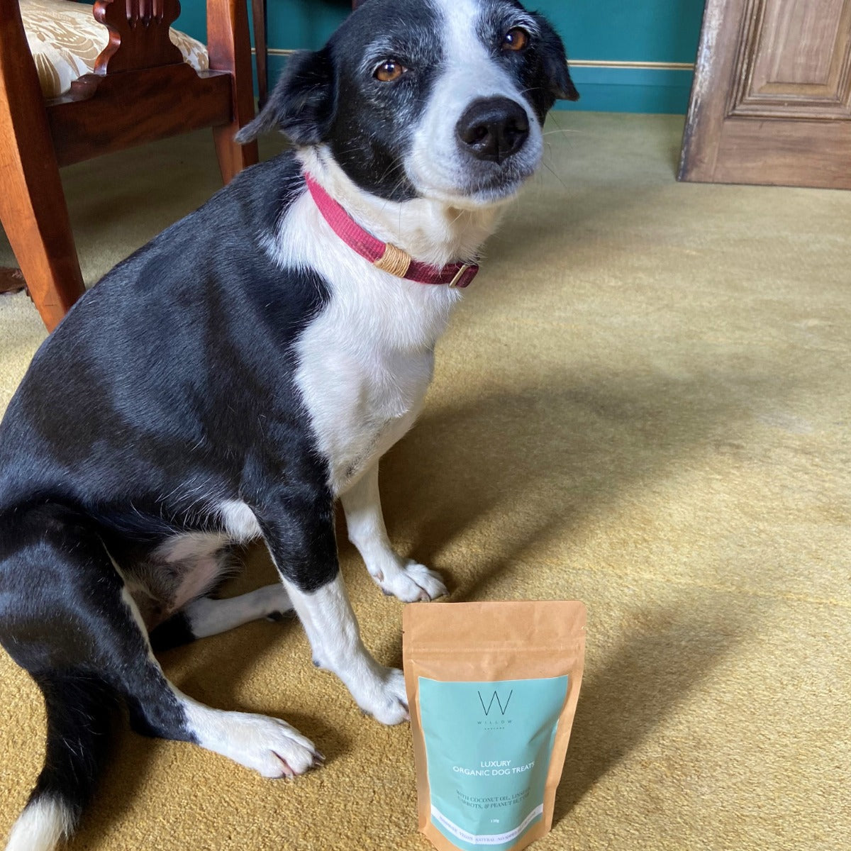 Ultimate Dog Walker's Box