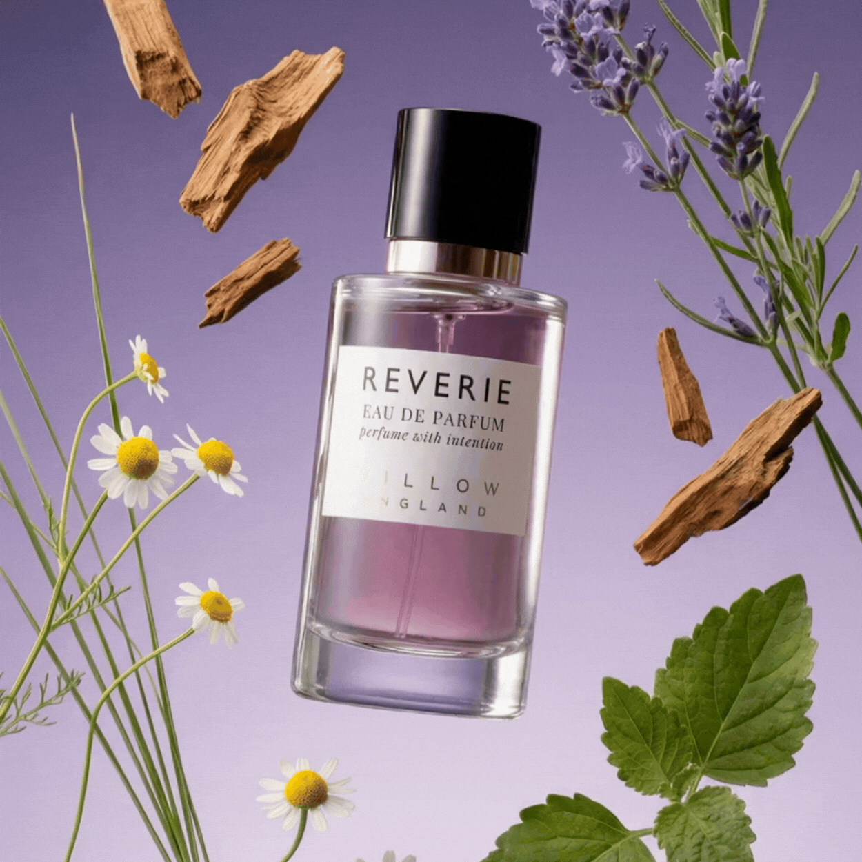Reverie Perfume: Manifest Relaxation