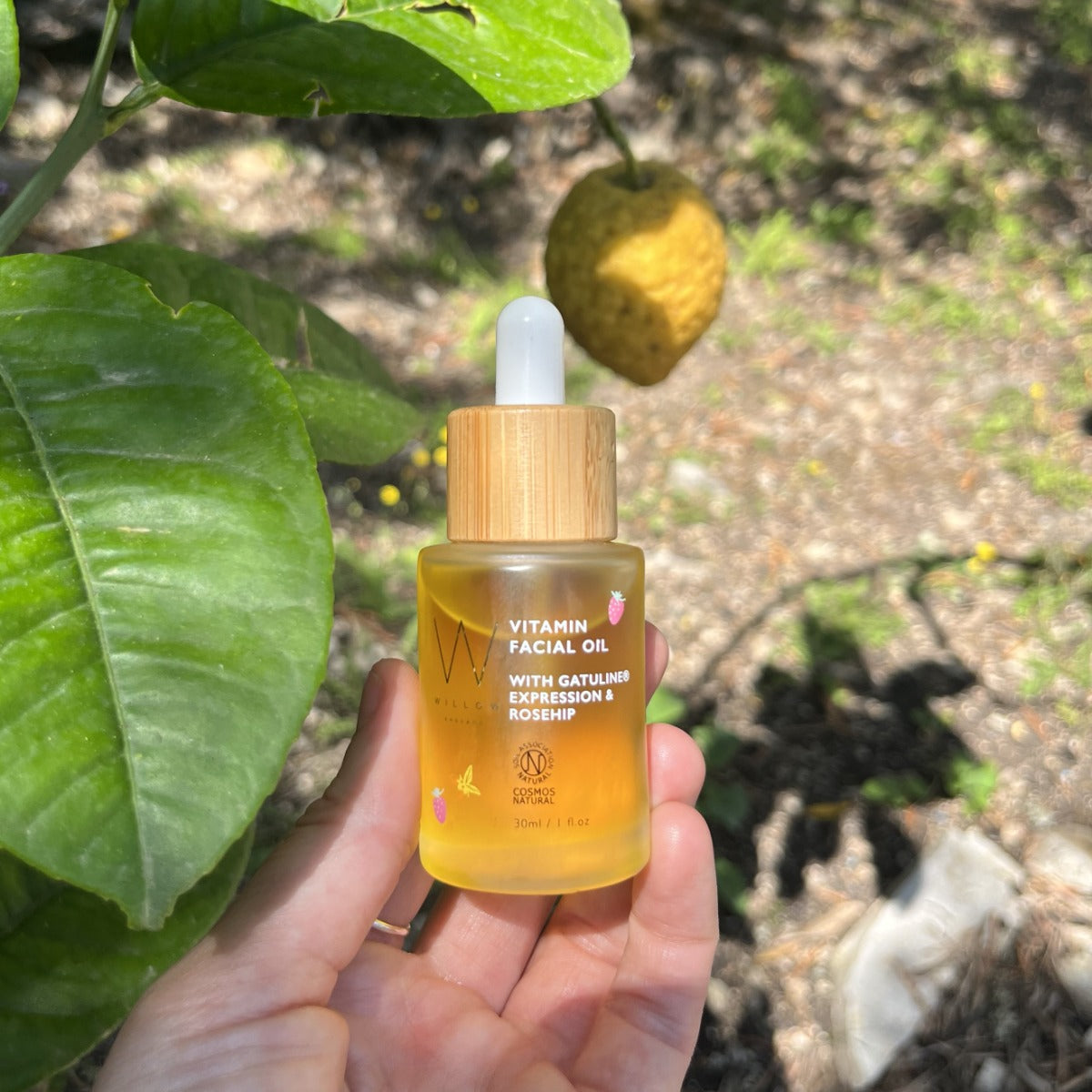 Best Selling Vitamin Facial Oil