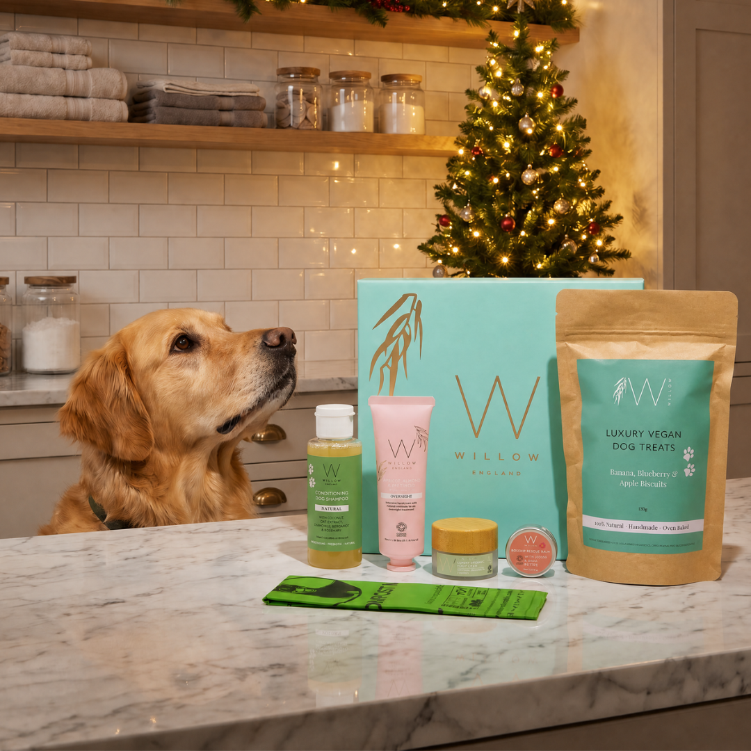 Ultimate Dog Walker's Box